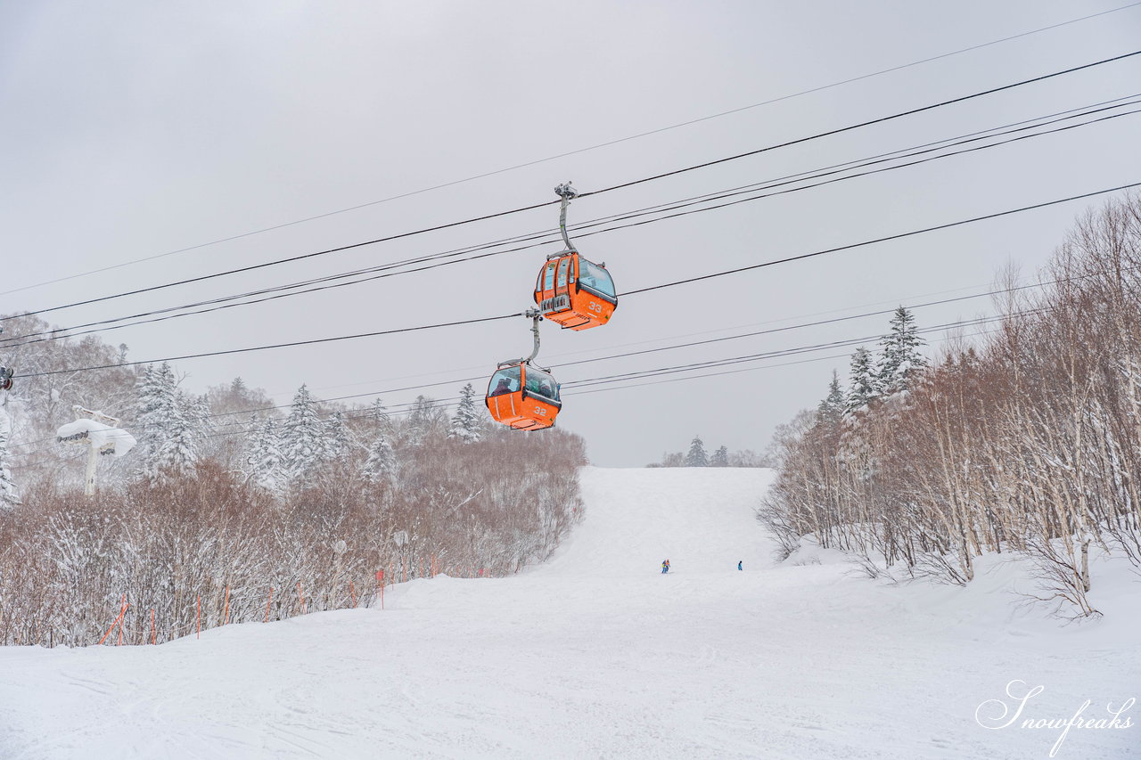 札幌国際スキー場　街は雨でも、山は雪！広々ゲレンデに思う存分シュプールを描こう(^^)/